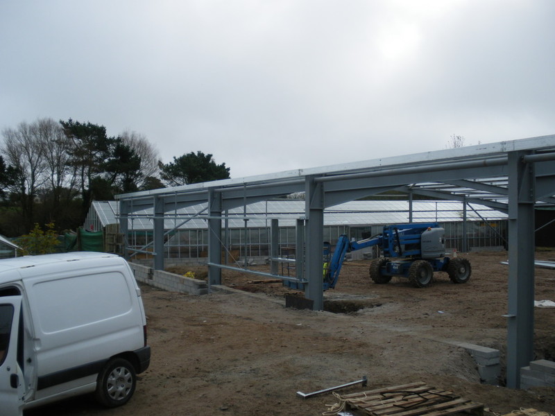 Chacewater_gardencentre